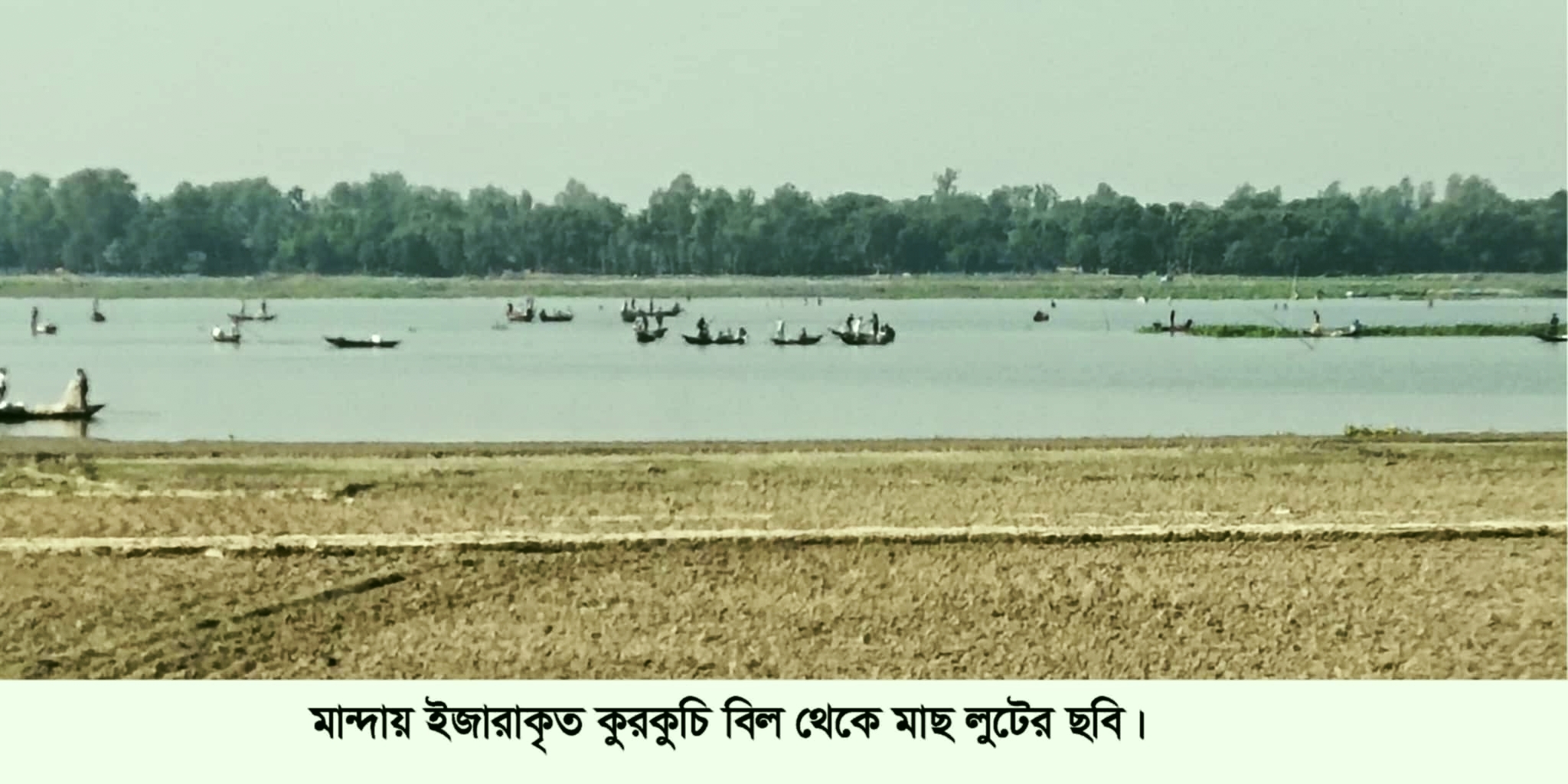 মান্দায় ইজারাকৃত বিলের মাছ হরিলুটের অভিযোগ